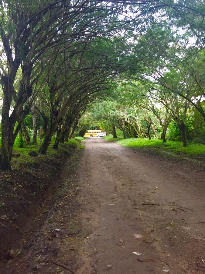 Refugio De La Montana B&B San Pedro Sula Ngoại thất bức ảnh